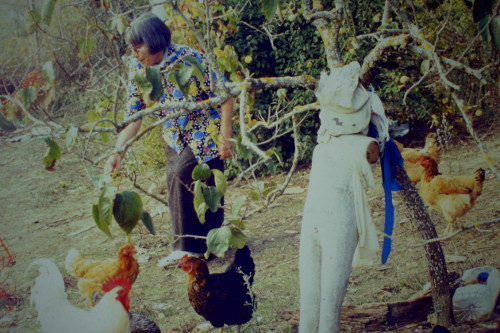 Mariana Fernandes, 2014