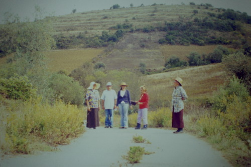 Mariana Fernandes, 2014