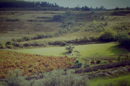 Mariana Fernandes, 2014