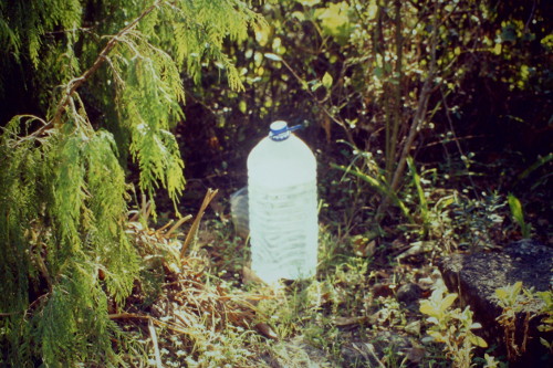 Mariana Fernandes, 2014