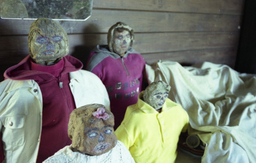 Mariana Fernandes, 2014