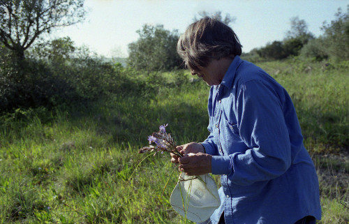 Mariana Fernandes, 2014