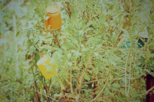 Mariana Fernandes, 2014