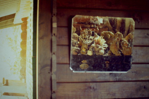 Mariana Fernandes, 2014