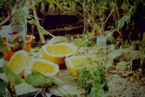 Mariana Fernandes, 2014